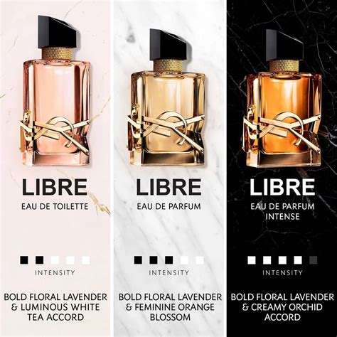 7 Fragrances Similar to YSL Libre 